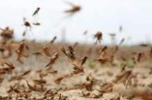 Doc-P-583401-636924840012847003