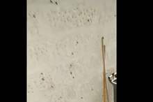 52019614144928823741