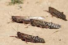 db54abd2-1264-4735-a2d9-610edf291347