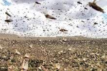 520194162648594725540