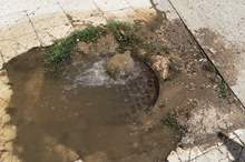 59506185_2247750745310910_8836480188830187520_n