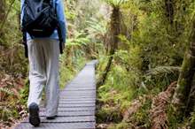 http___i.huffpost.com_gen_4402646_images_n-WOMAN-WALK-IN-FOREST-628x314