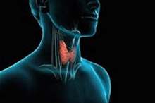 5ccff8eb95a597ad088b4597-jpg-53013121275056478