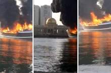 BeFunky-collage-4-768x432