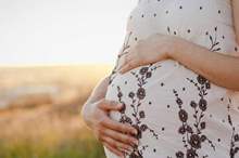 المكسرات-1300x600