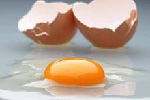 1-1250113-jpg-75325493580348211