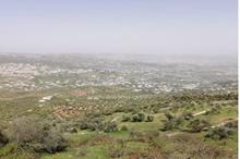 4202430153259761504616