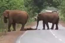 14561142-7120979-image-a-3_1560075316952