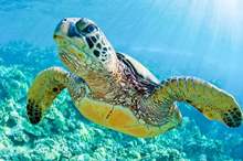 tour_img-1272843-148