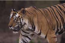 5ceff95695a597253f8b4571