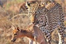 5cee83eed43750b47a8b4598