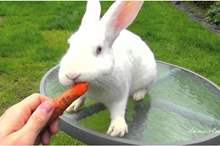 E44FDEC9-FC0F-4410-A8B8-D7B8579C6905