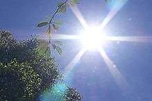 900x450_uploads,2019,05,06,08204e07d0