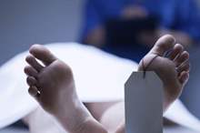 14784722621545217915