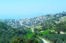 62019416045942082940