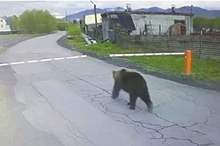 5cfa3790d43750f4658b45ae