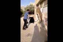 235194_35_1560002084