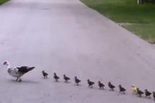 5cf68f7695a59747658b4570