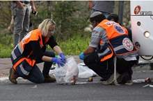 17d0d6beecd049e775747fbffeaad6c6