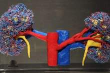 5b9b8ba695a5971b328b45cd