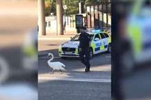 5ba1755ad43750ac7d8b45f0