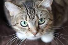 5ba0ef9295a597c2678b463b