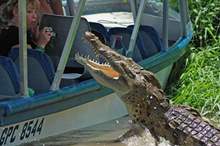 5ba25198d437503e488b461d