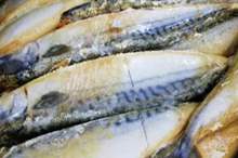 x123798.jpg.pagespeed.ic.eOQmwPnDNU