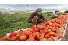 JzQAflK2fHyhsyODUir7tk9tDtWFwVazeMLIIwvP