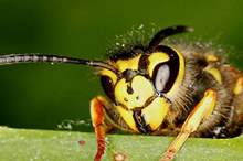 5ba205ee95a5975a628b456e