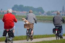 5ba383e1d4375008348b4586