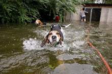 إعصار-فلورنس-1