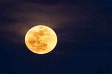 5ba902bbd437506b358b45ea