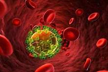 5ba8ab2995a59760478b45c6