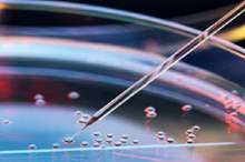 5ba8f08795a597d3108b457e