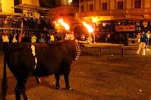 مهرجان-الثور-المحترق،-أسبانيا-1