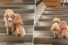 News-P-401804-636733976368269396