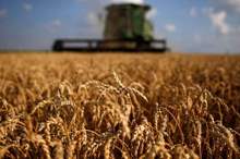 5ba8f7c995a59728048b45b1