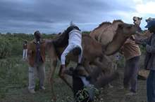 News-P-402162-636735608811245166