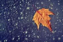 autumn-photography-alex-greenshpun-8