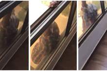 BeFunky-collage-3-4-730x363