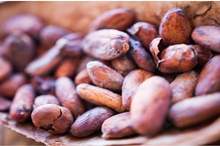 5bab259b95a59704138b45b2